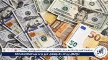 تحديثات الصرف بأسوان.. سعر العملات الأجنبية مقابل الجنيه في تعاملات الجمعة بمصر